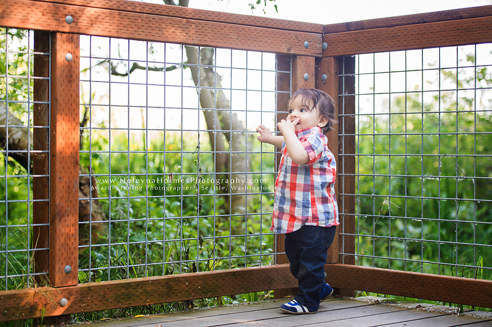 Seattle Family Photographer