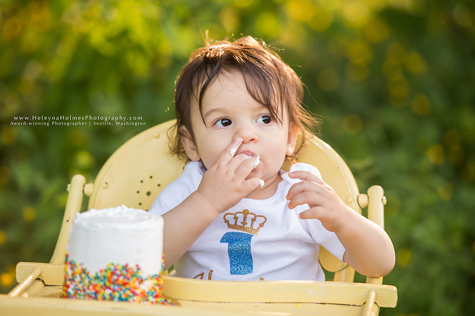 Seattle, Washington Cake Smash