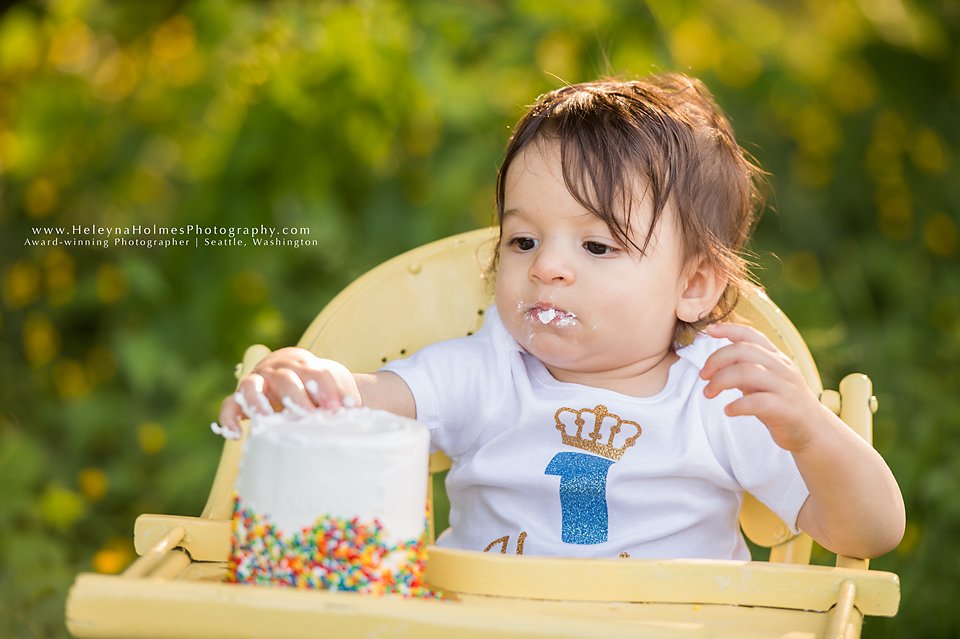 Seattle, Washington Cake Smash