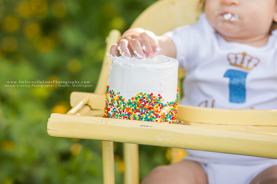 Seattle, Washington Cake Smash