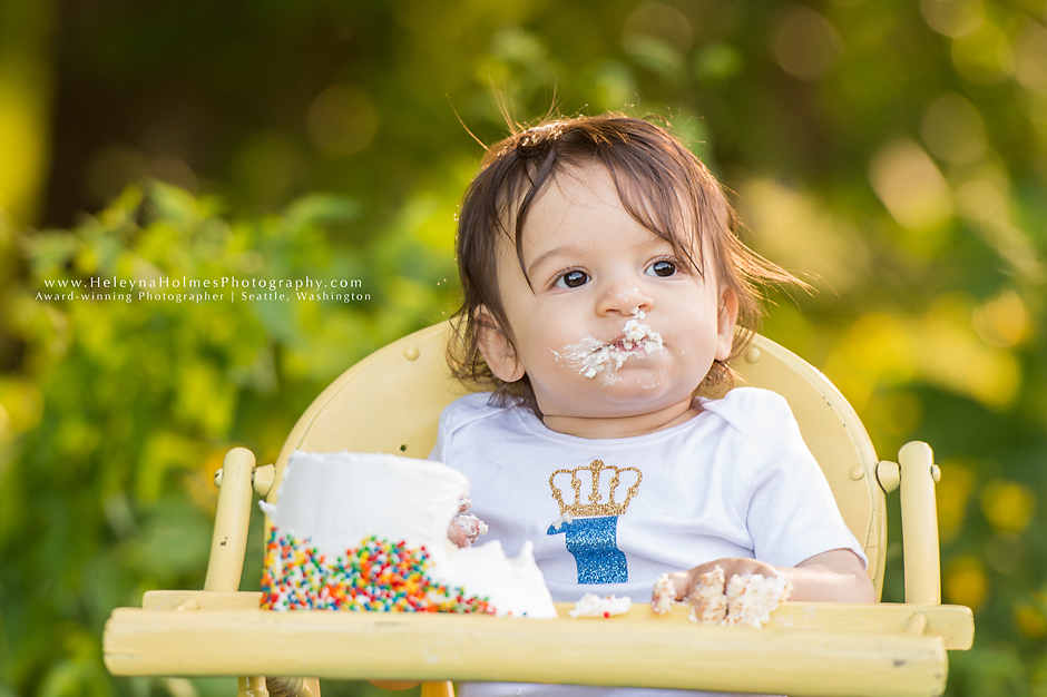 Seattle, Washington Cake Smash