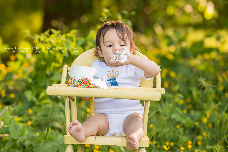 Seattle, Washington Cake Smash