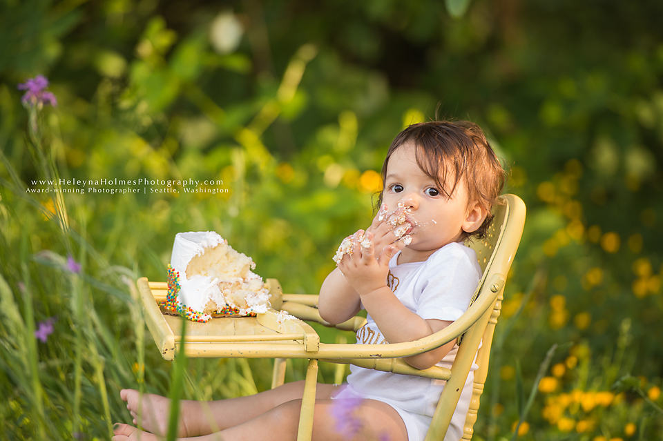 Seattle, Washington Cake Smash