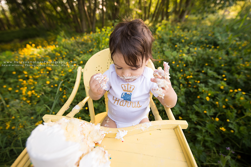 Seattle, Washington Cake Smash