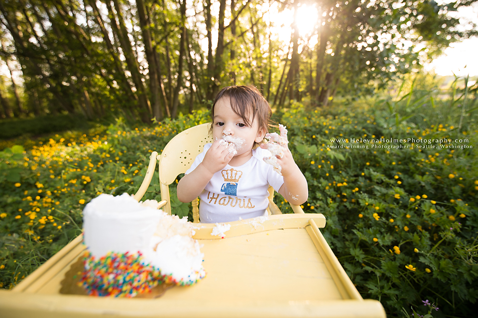 Seattle, Washington Cake Smash