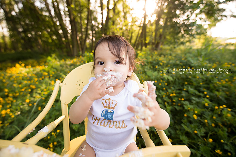 Seattle, Washington Cake Smash