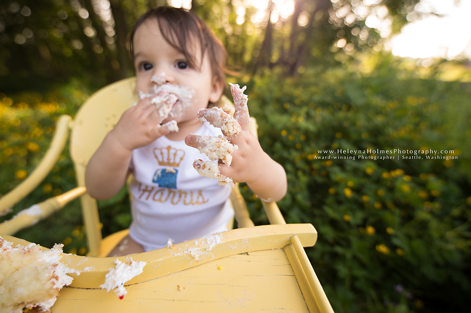 Seattle, Washington Cake Smash