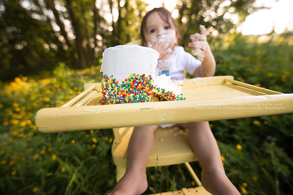 Seattle, Washington Cake Smash