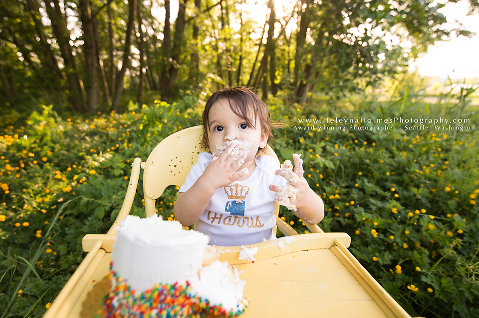 Seattle, Washington Cake Smash