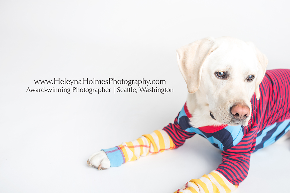 Seattle Holiday Mini Session