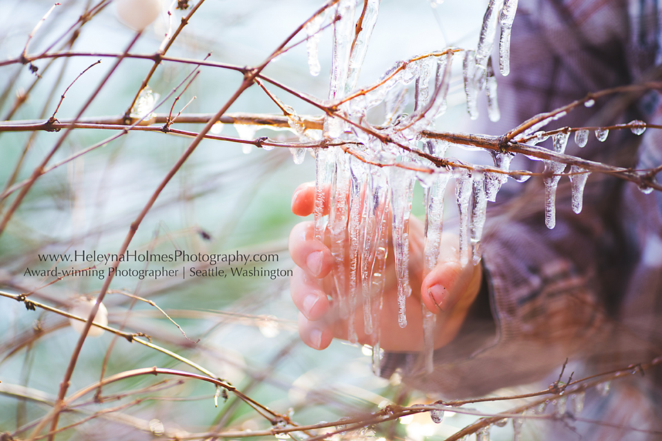 Seattle's Best Child and Family Photographer